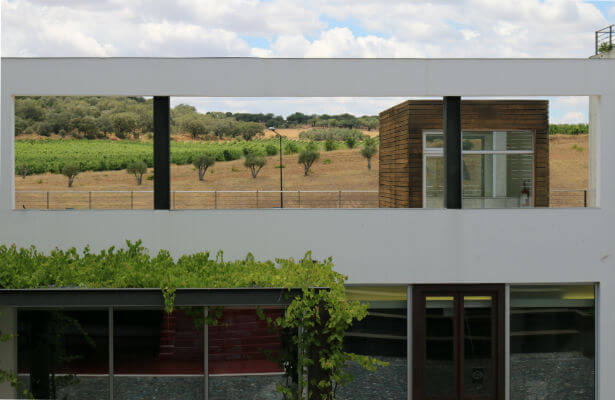 Blend-All-About-Wine-Herdade do Rocim-Inside herdade do rocim Herdade do Rocim Blend All About Wine Herdade do Rocim Inside