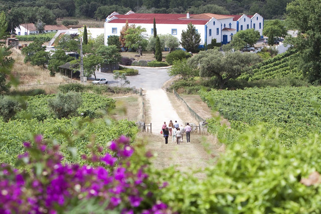 Monte da Ravasqueira eleito a “Melhor Degustação” pelo Guia de Vinícolas Portugal