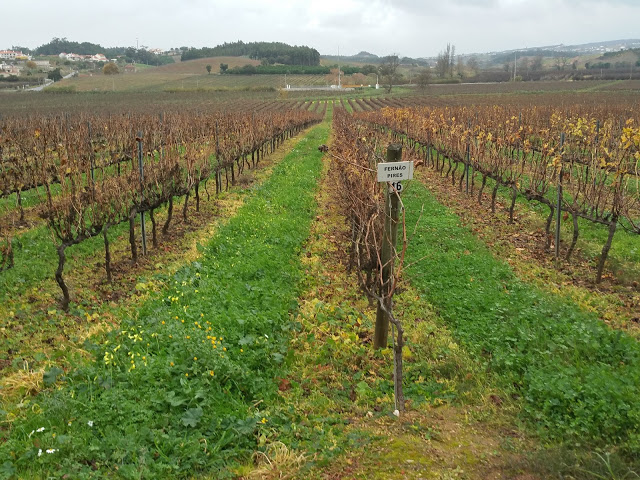 Quinta do Gradil