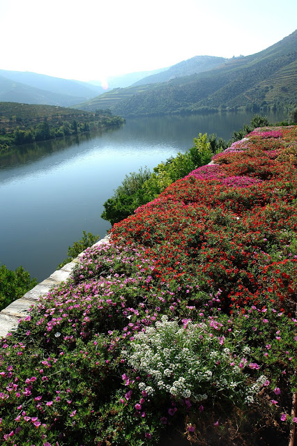 Quinta das Carvalhas