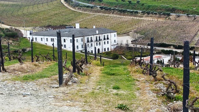 Quinta de Cidrô