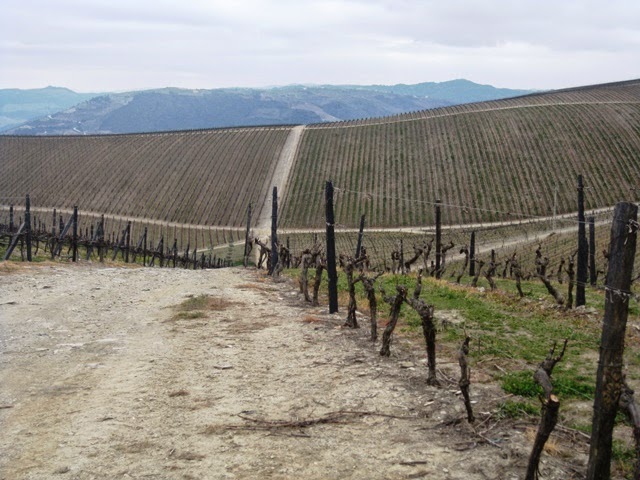 Quinta de Cidrô