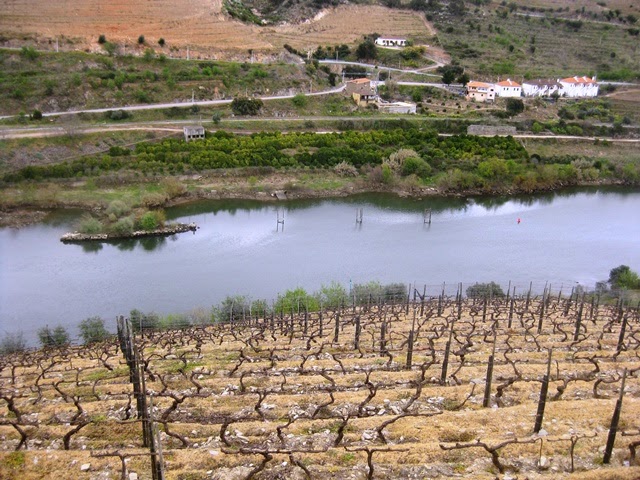 Quinta dos Aciprestes