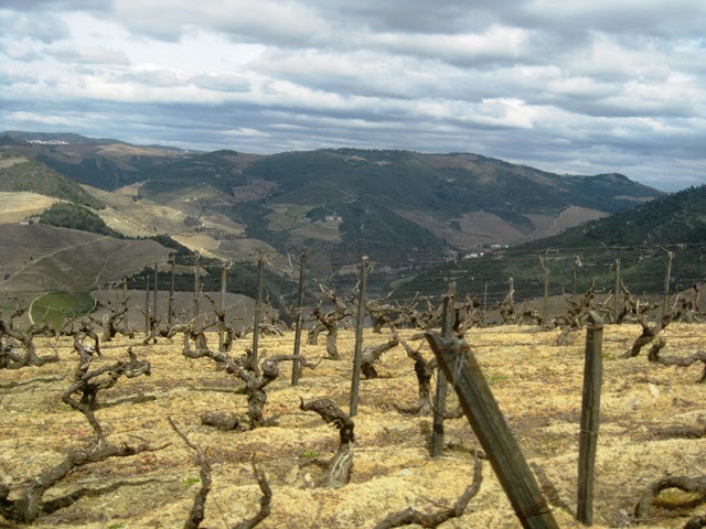 Quinta das Carvalhas