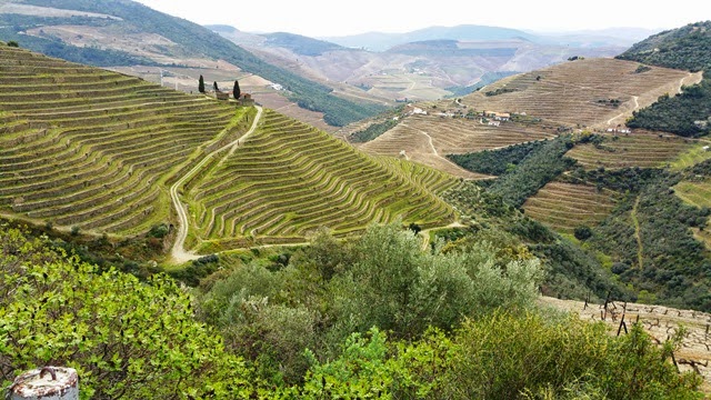 Quinta do Síbio