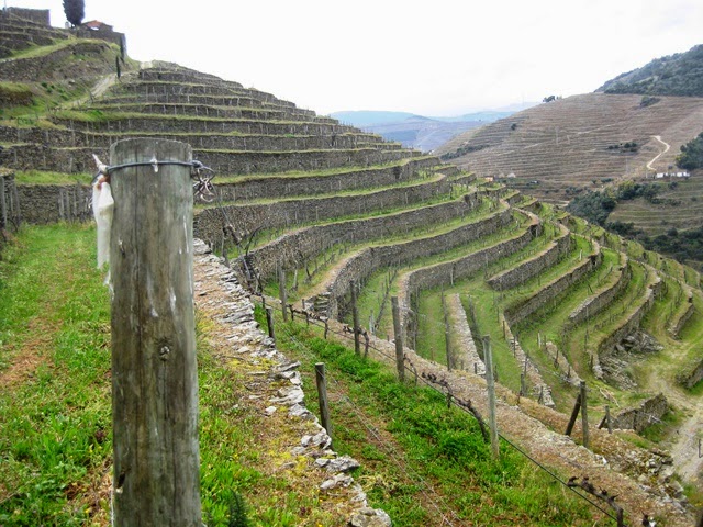 Quinta do Síbio