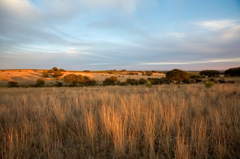 Herdade do Esporão