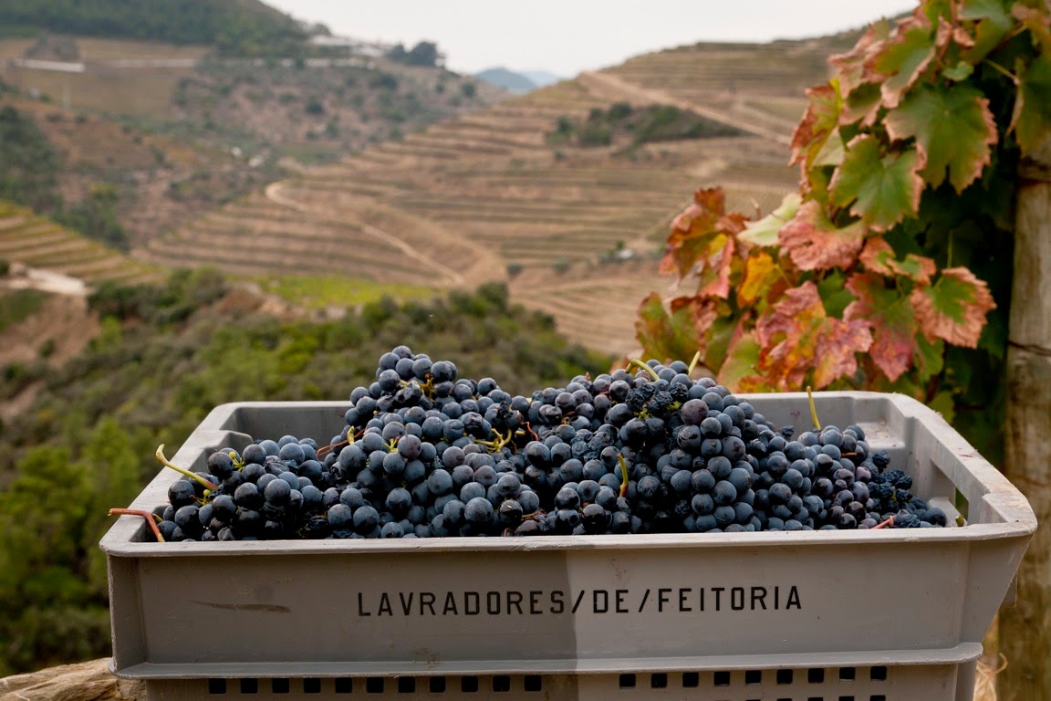 Lavradores de Feitoria