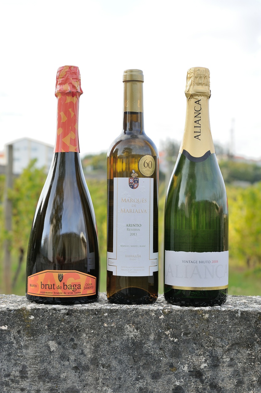 Marquês de Marialva Arinto Reserva branco 2013’, da Adega Cooperativa de Cantanhede, o ‘Aliança Vintage branco 2008’, da Aliança - Vinhos de Portugal, e o ‘Casa de Sarmento Brut de Baga branco 2009’, da Casa de Sarmento