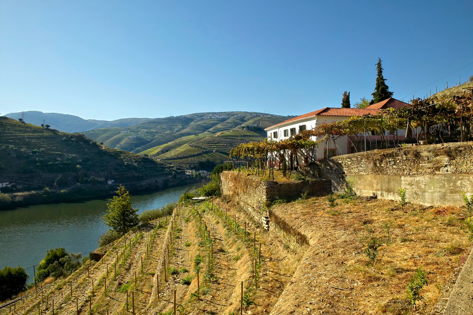 QUINTA DE LA ROSA