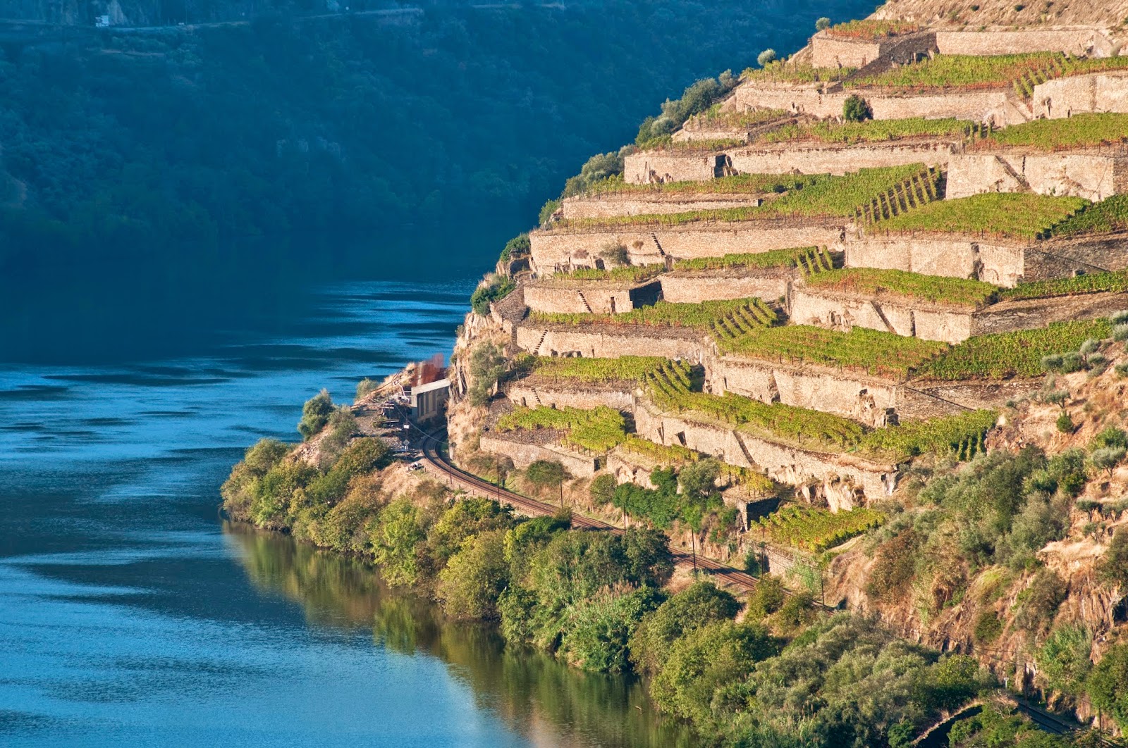 QUINTA DE LA ROSA