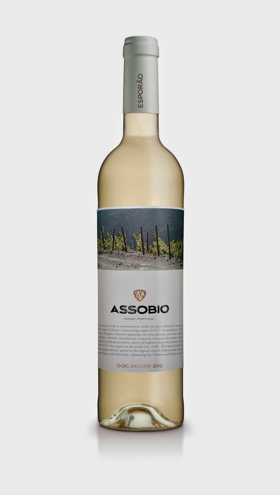 Assobio Branco 2013