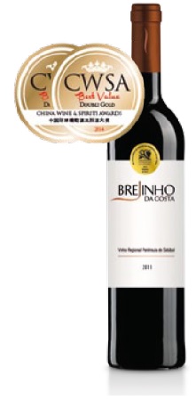 Brejinho da Costa Tinto 2011