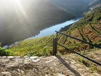 Quinta do Javali